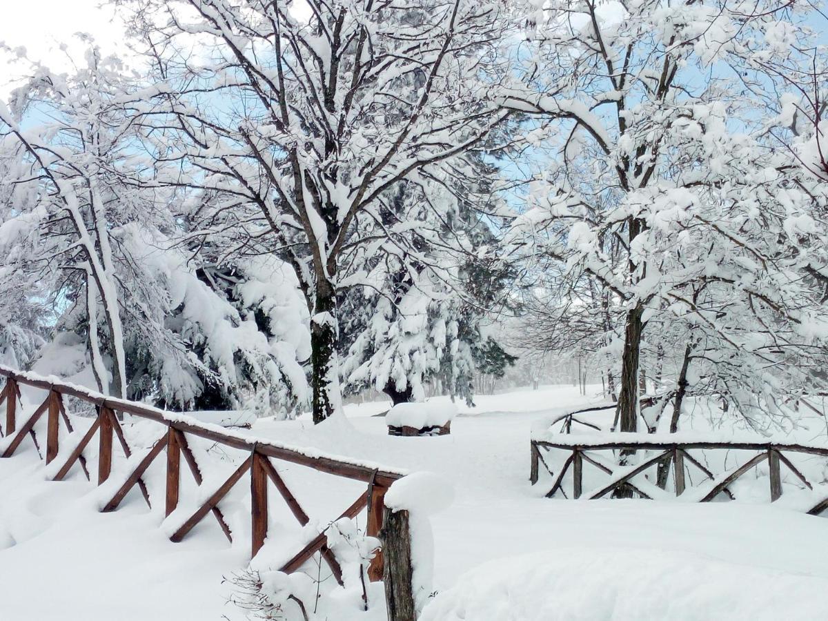 Il Castagno Bed & Breakfast Montemonaco Dış mekan fotoğraf