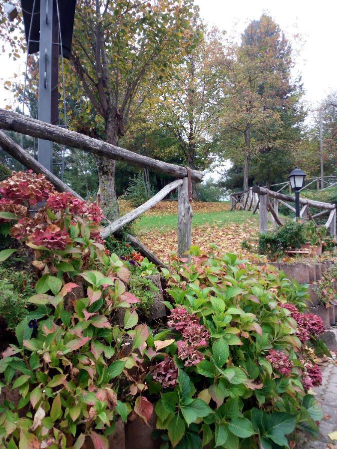 Il Castagno Bed & Breakfast Montemonaco Dış mekan fotoğraf