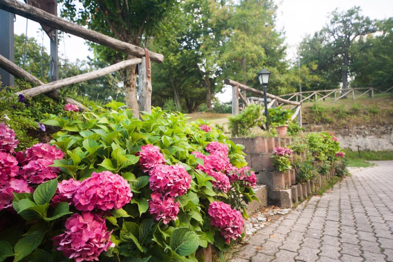 Il Castagno Bed & Breakfast Montemonaco Dış mekan fotoğraf